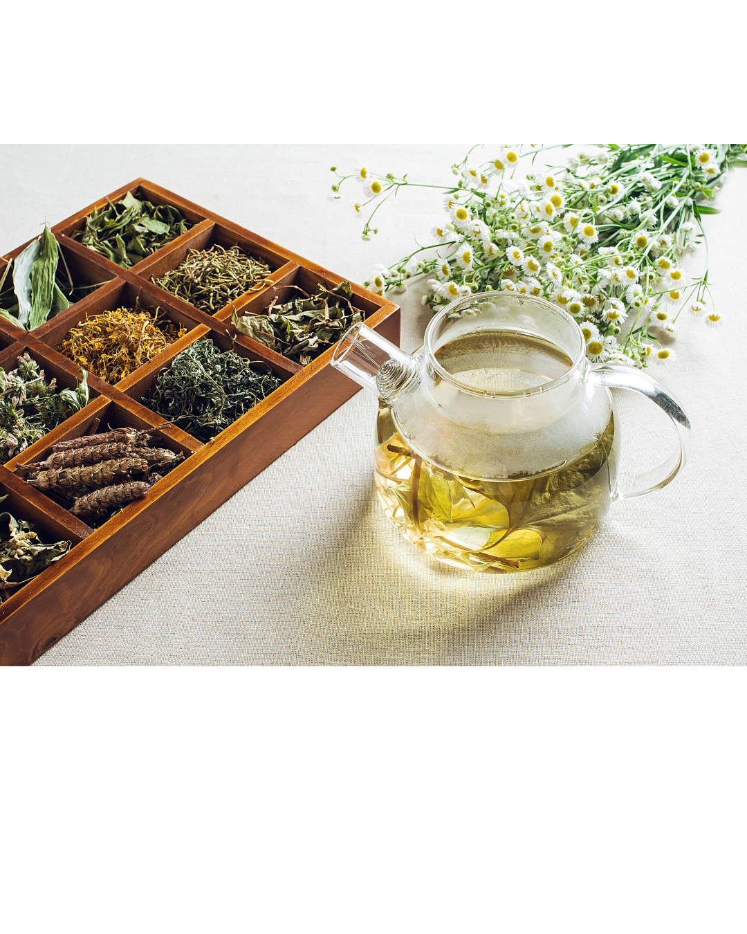 Probierpaket- Geschenk-Set